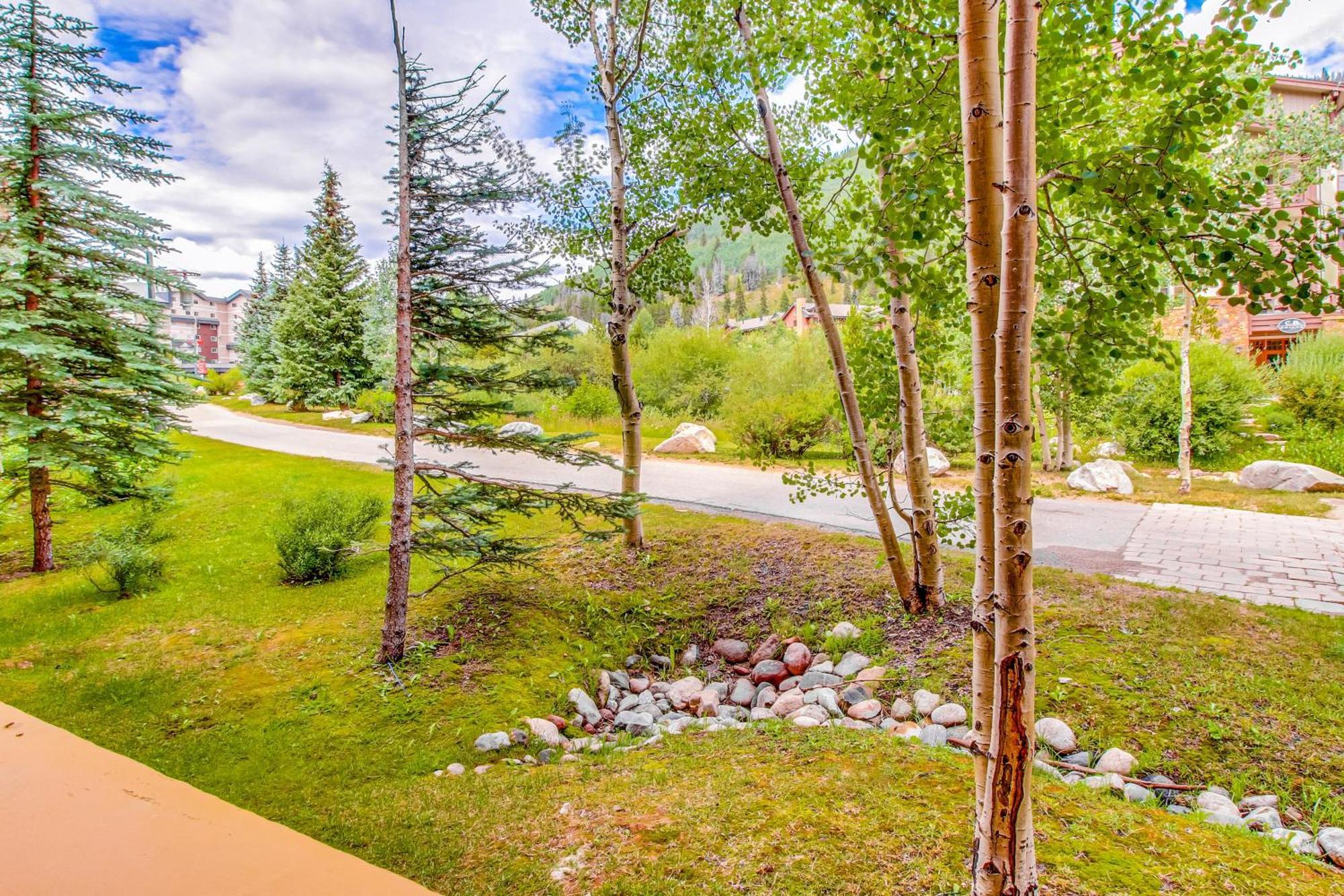 Tucker Mountain Lodge #104 コッパー・マウンテン 部屋 写真